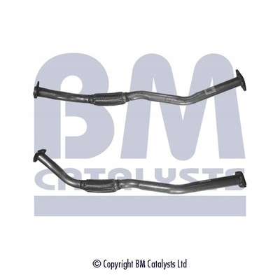 BM Catalysts BM50169 Bm catalysts bm50169 вихлопна труба