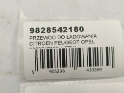 Groupe PSA КАБЕЛЬ ДЛЯ ЗАРЯДКИ CITROEN / PEUGEOT / OPEL 9828542180 + ЧОХОЛ OEM