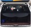 Китай NISSAN MURANO Z52 15+ РОЛЕТА БАГАЖНИКА NISSAN MURANO Z52 15