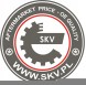 SKV 10SKV443 Skv насос гідропідсилювача 10skv443 - ford mustang ; 5r3z3a674ba