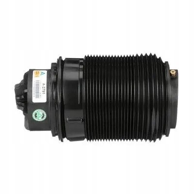 Arnott A-279 10 2x сильфони повітряної подушки Arnott REAR L+R для MERCEDES-BENZ CLS (C218)