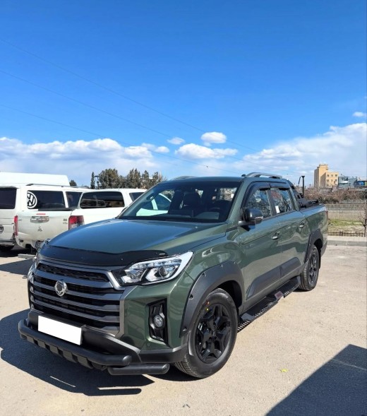 Китай PST24_SYM Спинка передня Tiger KGM SsangYong Musso 2018-
