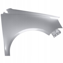 315828313 BLU Крило переднє праве VW POLO 9N3 IV 4 LA7W 05-09 ліфт оцинковане ReflexSilber