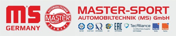 Master-Sport 202202240 "Комплект гальмівних дисків та колодок задньої частини - bmw"