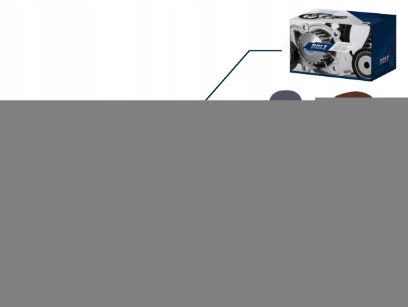 Dolz F149CT Водяний насос ford mondeo 2.0 tdci 10/00- mondeo 2.0d