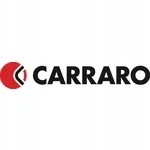Carraro CI049220 Комплект ущільнювача, циліндра Carraro