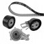 Dayco KTBWP9170 Комплект грм + водяний насос ktbwp9170 dayco