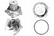 Dolz DOLA342/RS3 ВОДЯНИЙ НАСОС DOLZ 1970 PA12680 PA1056 QCP3790