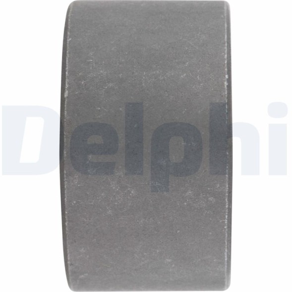 TD343W DELPHI Сайлентблок