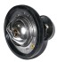 Ford OE 1096283 Термостат 2.0/2.2 duratorq ford