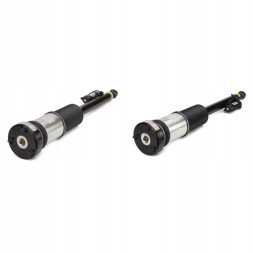 Arnott AS-282 21 2x повітряні амортизатори Arnott REAR L+R для MERCEDES-BENZ S-CLASS (W221)
