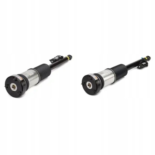 Arnott AS-282 21 2x повітряні амортизатори Arnott REAR L+R для MERCEDES-BENZ S-CLASS (W221)