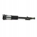 Arnott AS-282 21 2x повітряні амортизатори Arnott REAR L+R для MERCEDES-BENZ S-CLASS (W221)