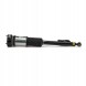Arnott AS-282 21 2x повітряні амортизатори Arnott REAR L+R для MERCEDES-BENZ S-CLASS (W221)