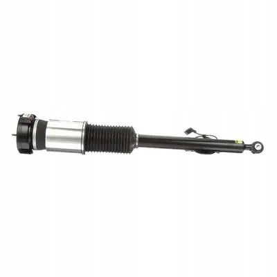 Arnott AS-282 21 2x повітряні амортизатори Arnott REAR L+R для MERCEDES-BENZ S-CLASS (W221)