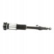 Arnott AS-282 21 2x повітряні амортизатори Arnott REAR L+R для MERCEDES-BENZ S-CLASS (W221)