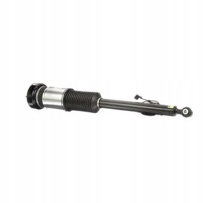 Arnott AS-282 21 2x повітряні амортизатори Arnott REAR L+R для MERCEDES-BENZ S-CLASS (W221)