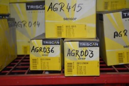 Triscan 8813 24003 Triscan 8813 24003 агр клапан