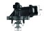 TM 18 105 MAHLE ORIGINAL Термостат
