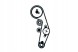 SKF VKMA 01942 Комплект грм vw 1,4tdi/1,9т