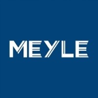 Meyle 31-16 050 0135 Маятник honda p. City/ jazz 08- le нижній meyle 31-16 050 0135