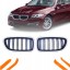 TOPGER KRG-BMW-287 X LED решітка радіатора BMW 5 F10 10-17 чорний глянець 2 ребра Iconic Glow