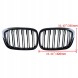 Китай 192976-10 Гриль Камера радіатора комплект для BMW X3 X4 G01 G02