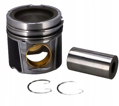 Mahle 213 PI 00102 000 Тлок daf cf 06- fi130 євро5 mx265 mahle original 213pi00102000