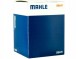 Mahle 213 PI 00102 000 Тлок daf cf 06- fi130 євро5 mx265 mahle original 213pi00102000