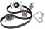 Китай TWP257 Комплект ГРМ Lexus ES330 Toyota Camry 3.3 04-