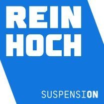 Reinhoch AF10095 Цапфа підвіски колеса