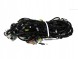 Nissan OE 24014BR19B QASHQAI ТА J10 ПЕРЕДНІЙ ЕЛЕКТРИЧНИЙ ЖГУТ
