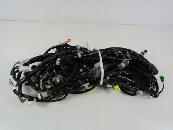 Nissan OE 24014BR19B QASHQAI ТА J10 ПЕРЕДНІЙ ЕЛЕКТРИЧНИЙ ЖГУТ