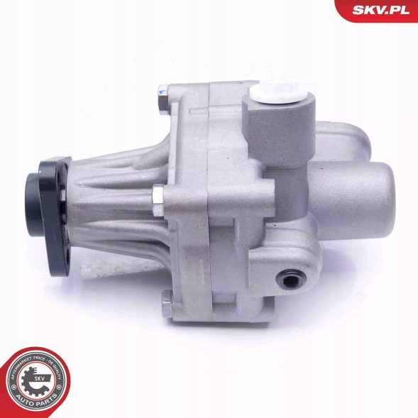 ESEN SKV 10SKV245 Насос гідропідсилювача 10skv245 skv