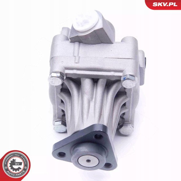 ESEN SKV 10SKV245 Насос гідропідсилювача 10skv245 skv