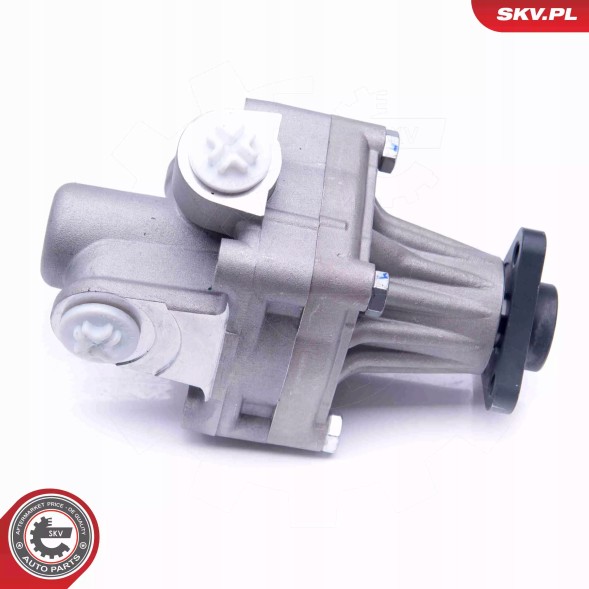 ESEN SKV 10SKV245 Насос гідропідсилювача 10skv245 skv