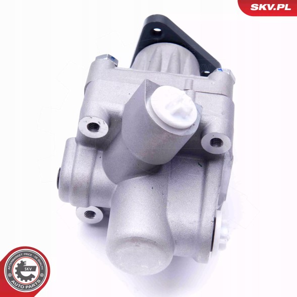 ESEN SKV 10SKV245 Насос гідропідсилювача 10skv245 skv
