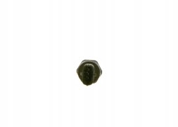 Bosch 0 281 002 903 Датчик тиску палива 0 281 002 903 bosch