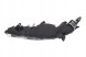 Valeo 047737 Лампа повороту 047737 valeo nissan