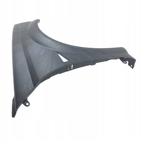 Renault OE 7701474923 8200112642 OE Бризковик передній правий Renault Megane II