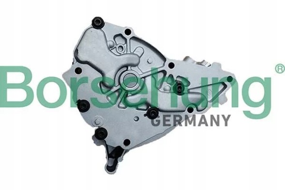 Borsehung Масляний насос Borsehung B11902