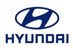 Hyundai OE 2004-2006 СКЛО Hyundai Tucson 834102E030 НОВЕ ОРИГІНАЛЬНЕ