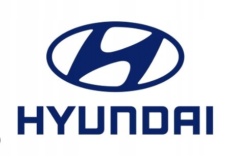 Hyundai OE 2004-2006 СКЛО Hyundai Tucson 834102E030 НОВЕ ОРИГІНАЛЬНЕ