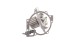 SKF VKPC 86640 Водяна помпа (насос охолодження)