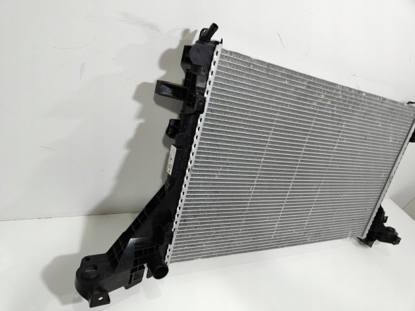 Renault OE 214108535R Renault master iii охолоджувач води oem