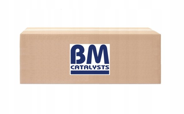 BM Catalysts BM11206 Фільтр твердих частинок dpf bm catalysts bm11206
