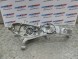 BMW OE 6876655 1543561 31216876655 BMW XM G09 КРОСОВЕР МАТОЧИНА ПЕРЕДНЯ ЛІВА 6876655 1543561