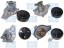 V-maxzone Part VIC-224176 Насос охолоджуючої рідини для BMW 1 (F20), 1 (F21), 2 (F22, F87), 2 (F23), 3