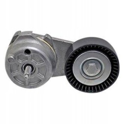 Dayco DY-89666 НАТЯЖУВАЧ РЕМНЯ КОНДИЦІОНЕРУ 5.0 FORD F150 14-23