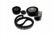 SKF SKFVKMA 31084/RS4 Клиновий ремінь SKF 038903315AD 03G1452